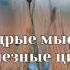 МУДРЫЕ МЫСЛИ ПОЛЕЗНЫЕ ЦИТАТЫ ДЛЯ ВСЕХ И КАЖДОГО