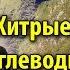 Хитрые углеводы Под грифом