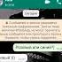 Шиммер и Шайн АААААА