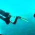 Cave Diving Life Can Be Fun Underwater
