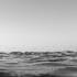 Wardruna Kvitravn Lyric Video