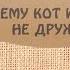 Белорусская народная сказка Почему кот и собака не дружат