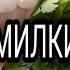 КАШНИЧ БА ДАНДОН ТАРЗИ ТАЁР КАРДАНИ ДОРУ БА ДАРДАТ ДАВО БИҶУЙ КАНЗИ ШИФО