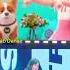 Lisa S Iconic Crab Dance Lisa Blackpink Kpop Funnyvideo Shorts