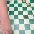 Russian Checkers 1054