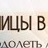 Из гусеницы в бабочку Как преодолеть личины личины АвторШихова Весталия школаCорадение