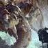 Monster Hunter World OST Proof Of A Hero