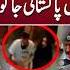 Shocking Truth Behind The Noor Mukadam Case Podcast With Sajjad Shafiq Butt