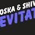 Roska X Shiva Levitate