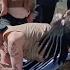 Jackass Exploits Animals Shorts