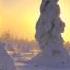 Николай Гумилев Крест