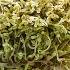 Discover The Secret To Growing Bean Sprouts In High Yield Plastic Containers