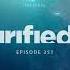 Purified Radio 351