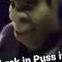 Puss In Boots Shrek End Credits Scene
