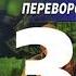 Николай Андреев Звёздный взвод 13 Переворот 2016 Часть 3 Аудиокнига