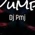 Dj Pmj Pump