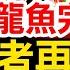 金龍魚被挖出 長期使用混裝油 暗訪記者再拋黑幕 客戶決定是否混裝 新聞看點 李沐陽7 10