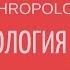 ПЕРВОБЫТНАЯ КУЛЬТУРА Лекции по культурологии