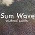 Sum Wave Purple Lilies Royalty Free Music