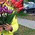 Поздравление с днем рождения для Ирины