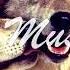Руслан А У Е Черный Волк CMusic