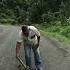 Man Helps Sloth Cross The Road Everyday Heroes