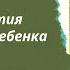 Джон Медина Правила развития мозга вашего ребенка Часть 1