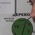 Боль кожи от прикосновения на психическом уровне Помощь точками акупунктуры