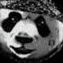 CYGO Panda E TopMusicNew