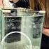 Challenge Of Putting Coins In A Glass In The Water To Get Free Shoes