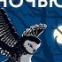 Совы охотятся ночью Энтони Горовиц аудиокнига детектив