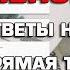 Детские пособия и пенсии Ответы на Вопросы 29 ноября 2024