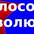 Философия революции Клим Жуков про рождение революции