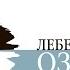 Лебединое озеро Летят лебеди