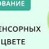 Формирование сенсорных представлений о цвете у детей раннего возраста