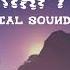RAFT Official Soundtrack Looped 2 Hrs