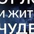 КАК ВЫЙТИ ИЗ ЛОГИКИ И ЖИТЬ В МИРЕ ЧУДЕС Адакофе 170