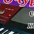 Очурбо очурбогун Cover Korg Pa 700