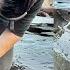 Fossil Hunter Examines HUGE Limestone Nodule Fossil Hunting For Belemnites Fossil Hunter