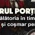 Misterul Porților Temporale Călătoria în Timp Devine Realitate și Coșmar Pentru Cercetători