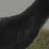 Prehistoric Planet Deinocheirus Scratch Scene