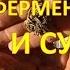 КАК ФЕРМЕНТИРОВАТЬ И СУШИТЬ ИВАН ЧАЙ Копорский чай Чай из кипрея