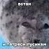 Если тебе грустненько встань и потряси пузиком