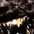 Godzilla Mothra And King Ghidorah Giant Monsters All Out Attack Main Title MoR