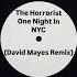 The Horrorist One Night In NYC David Mayes Remix