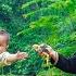 Dwarf Family Harvesting Squash And Chickens To Sell At The Market Buys New Chicks Harvesting Joy