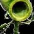 Plants Vs Zombies Garden Warfare Peashooter Sound Effects