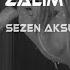 Sezen Aksu Zalim Emre Kaşık Remix Kader