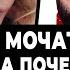 ГОЛЫЙ ТРУП Тиммы получили в мешке ПУГАЧЕВУ МОЧАТ молчит по Ирану У Киркорова почернела рука СМИ