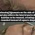 Natural Forehead Reduction Results